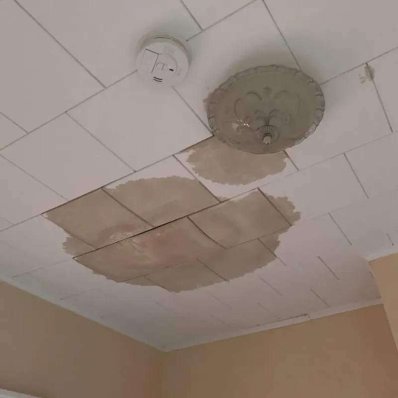 Ceiling Water Damage Repair in North Scituate, RI