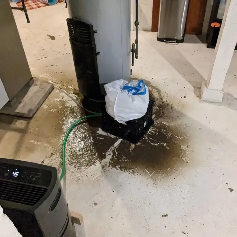 Sewage Backup Cleanup Service in North Scituate, RI
